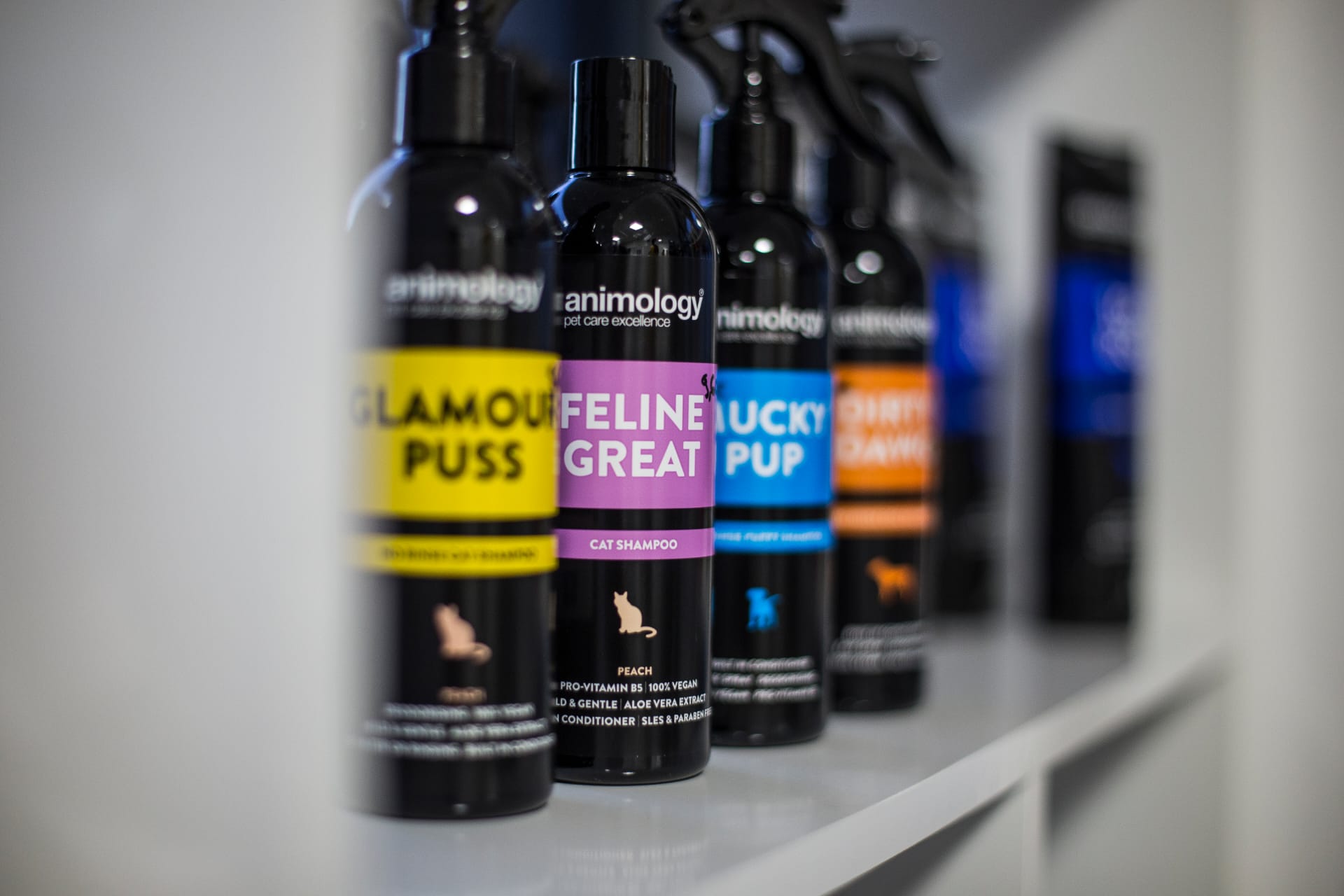 Produtos de higiene e grooming